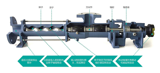單螺桿泵結構圖